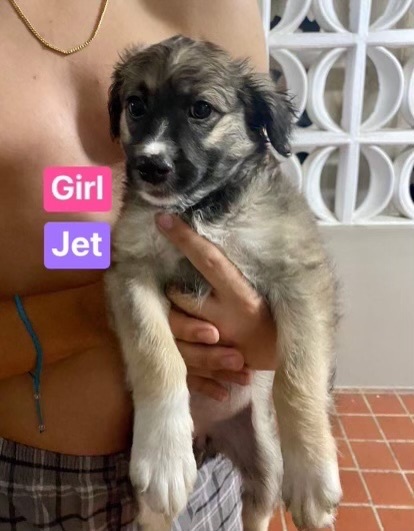 Jet