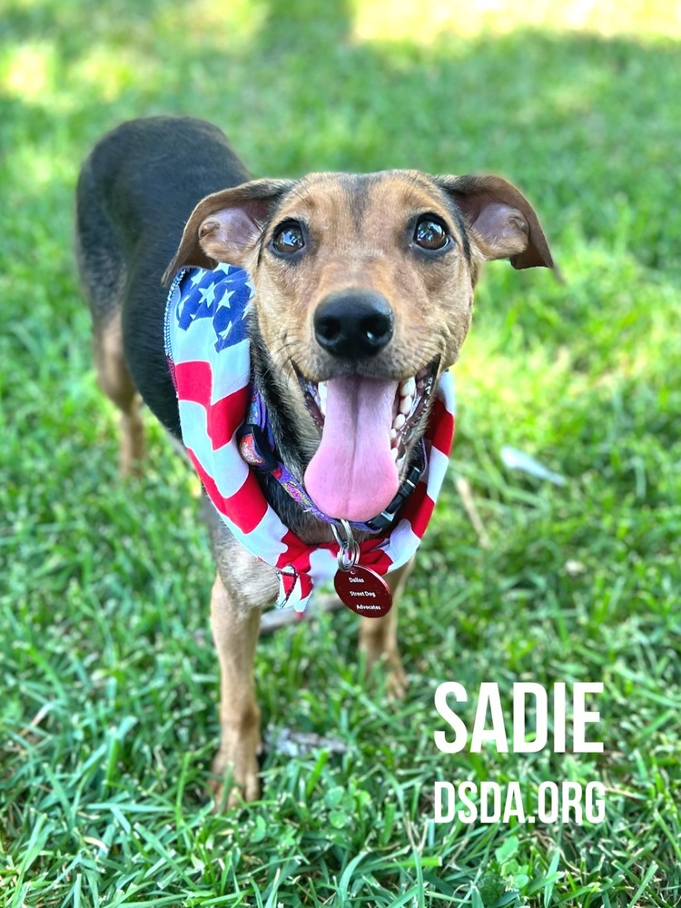 22-070 Sadie Coming soon
