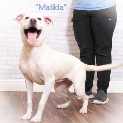 Matilda