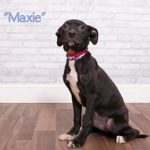 Maxie