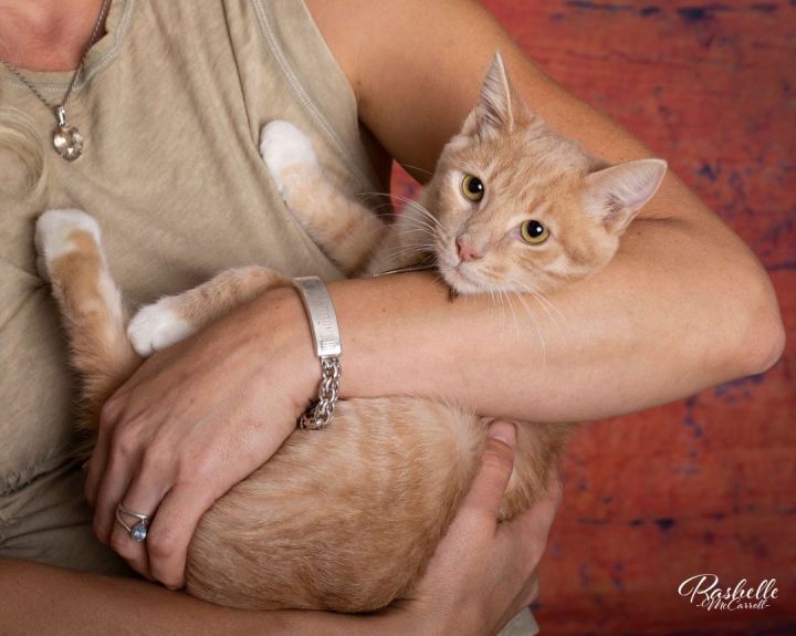 FRED WEASLEY 3