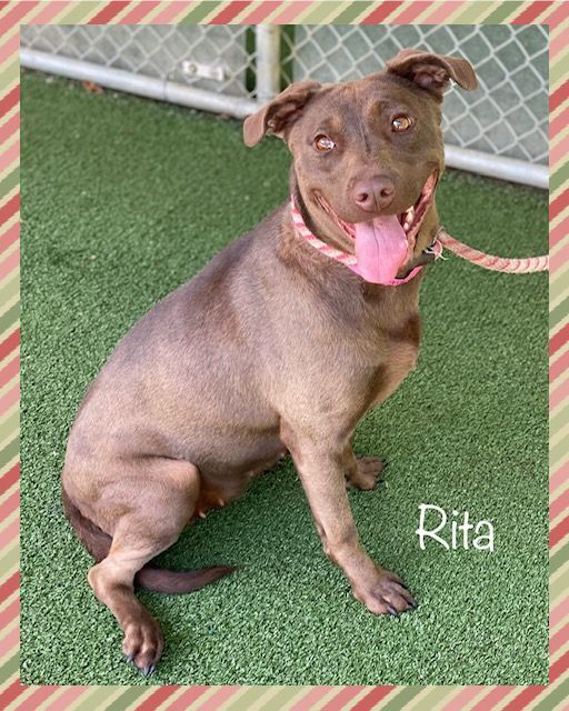 RITA