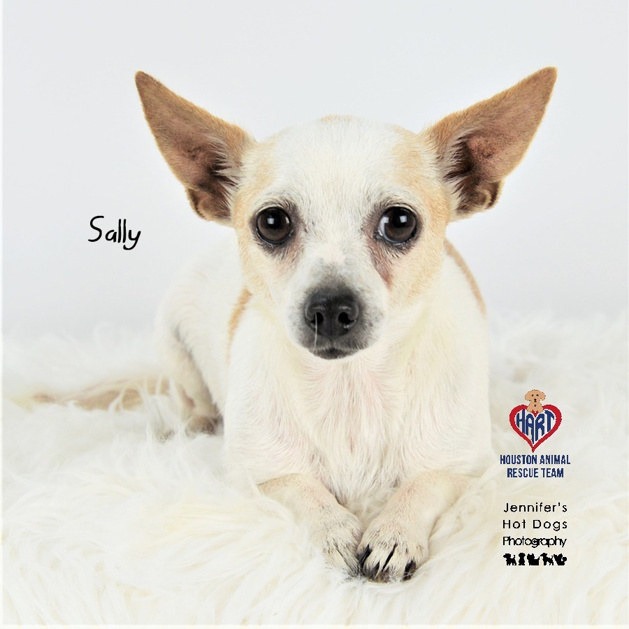 Sally