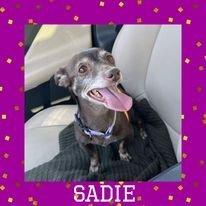 Sadie