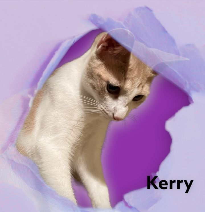 Kerry 1