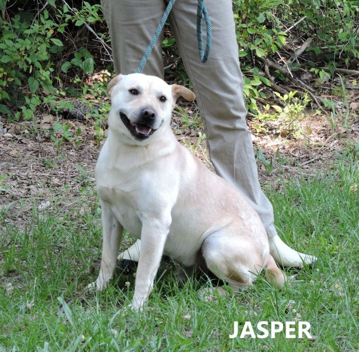 Jasper 2