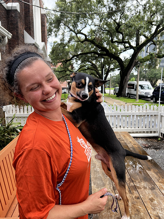 Cherry Cordial-Closet Cuddler, an adoptable Rat Terrier in New Orleans, LA, 70115 | Photo Image 2
