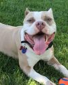 Zeus **Courtesy Listing** photo 1