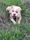 Zeus **Courtesy Listing** photo 3