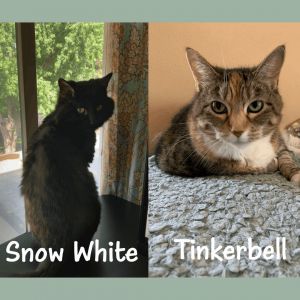 Snow White & Tinkerbell (Bonded Pair)