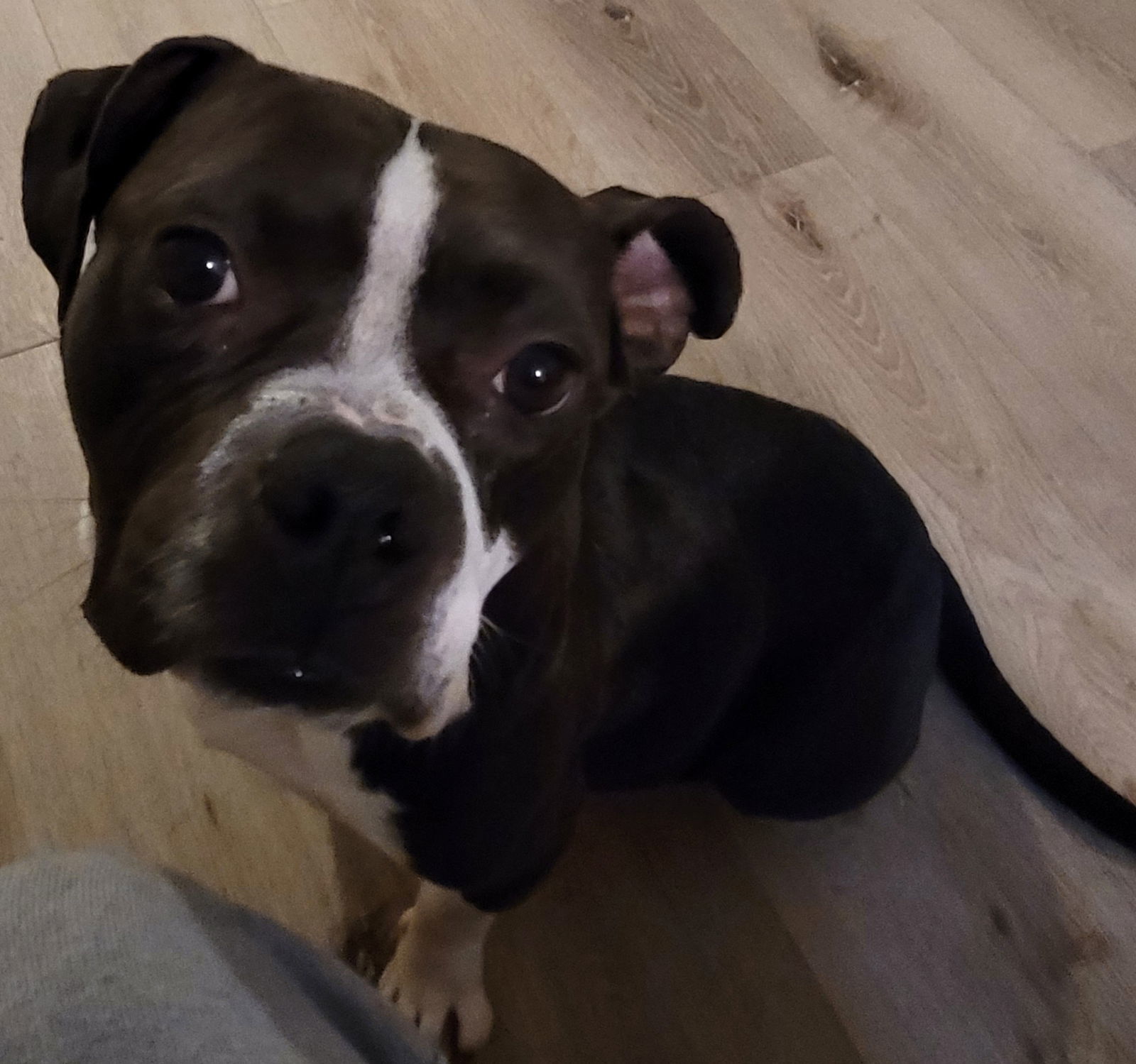 Nellie