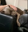 Benny