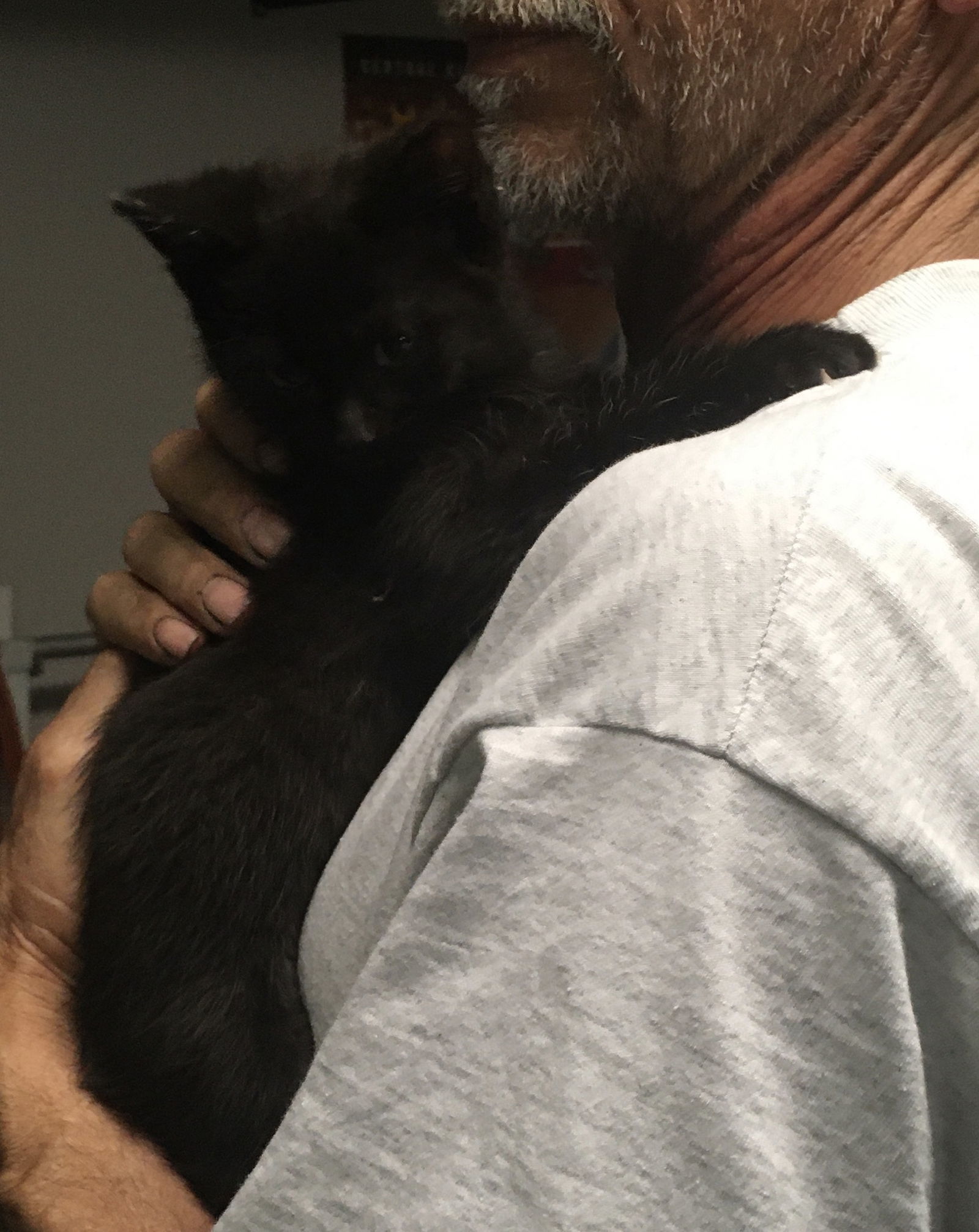 Bonnie bonded Julio