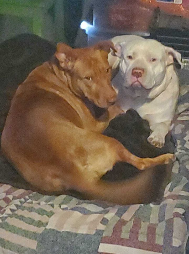 Wally & Eva 1