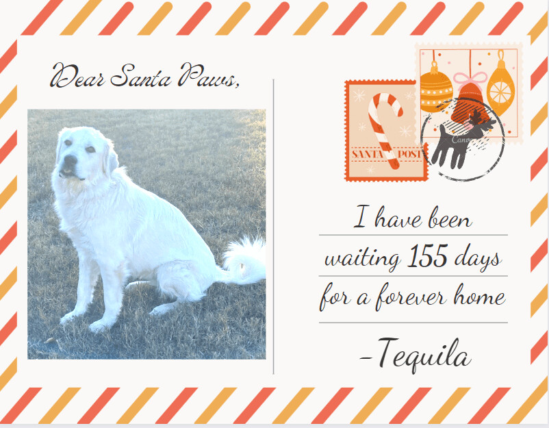 Tequila detail page