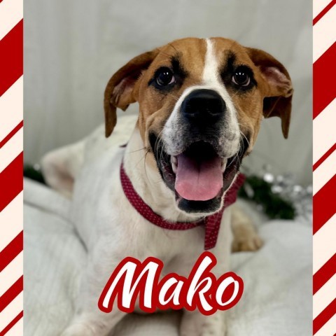 Mako 3