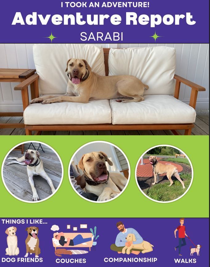 Sarabi