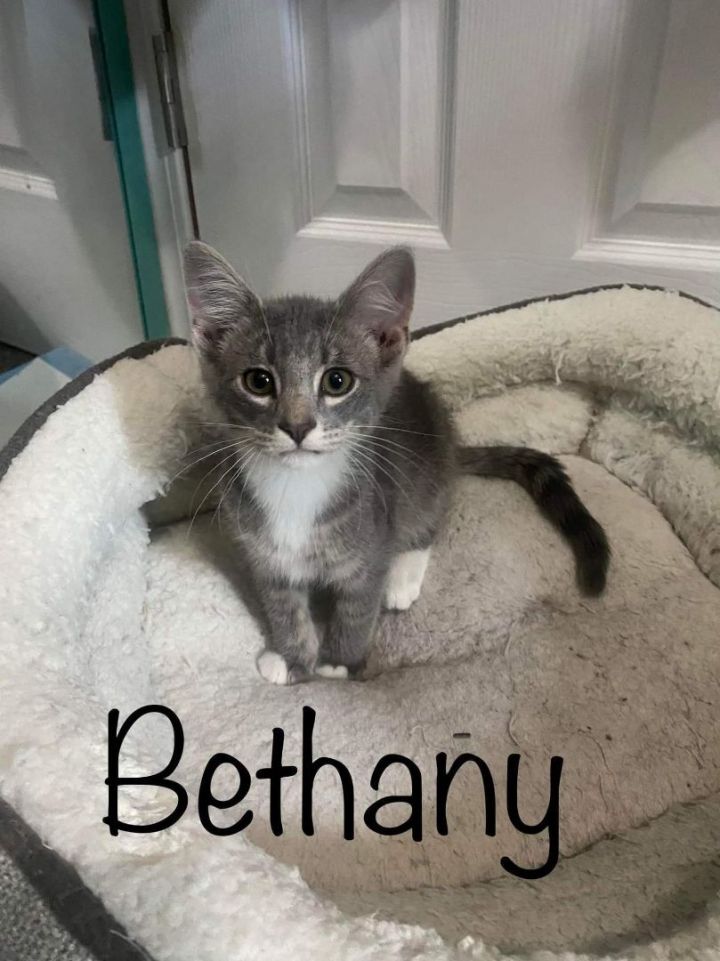 Bethany  1