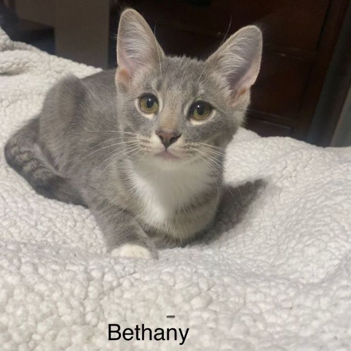 Bethany  3
