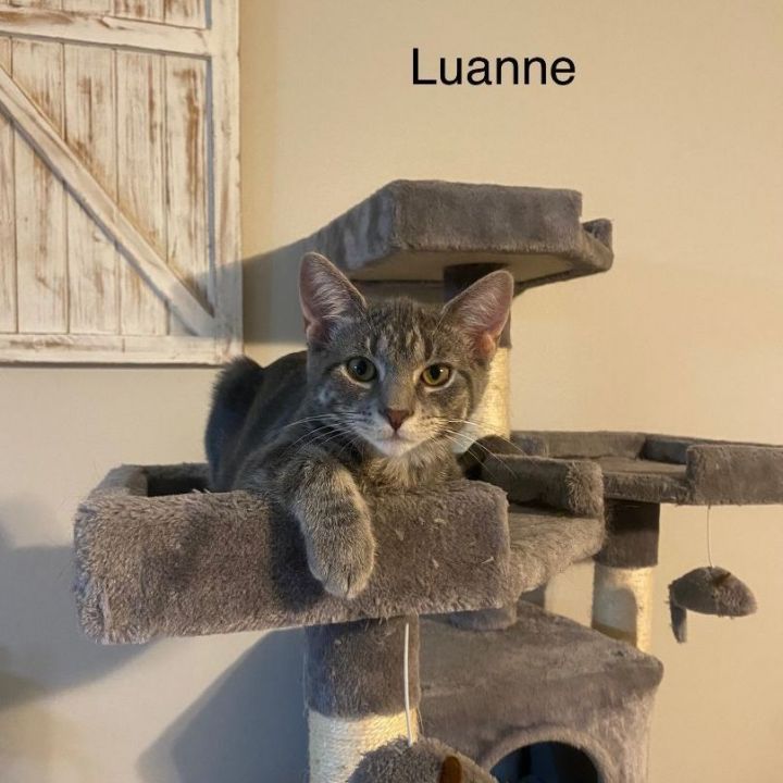 Luanne 4