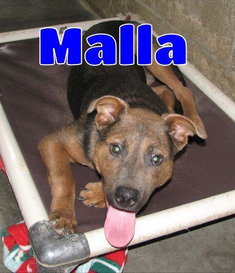 #3625 Malla -sponsored