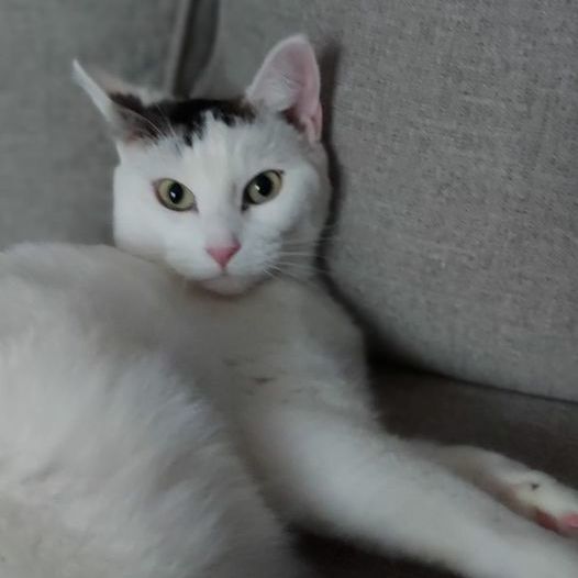 Sabrina