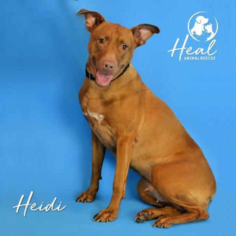 Heidi