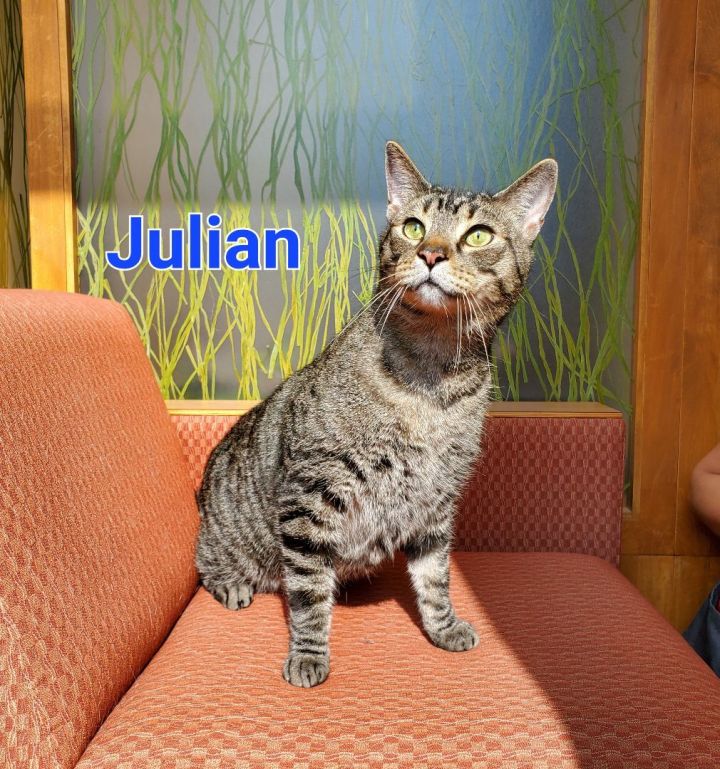 Julian 1