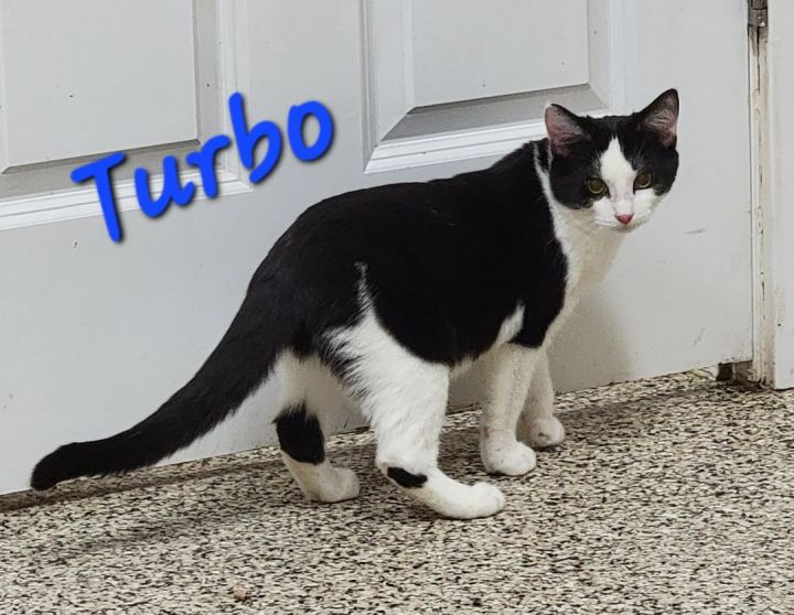 Turbo UPDATE 5