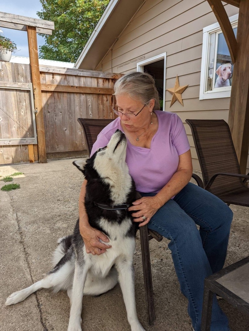 Kylo (aka Ky), an adoptable Siberian Husky in Beaverton, OR, 97005 | Photo Image 6