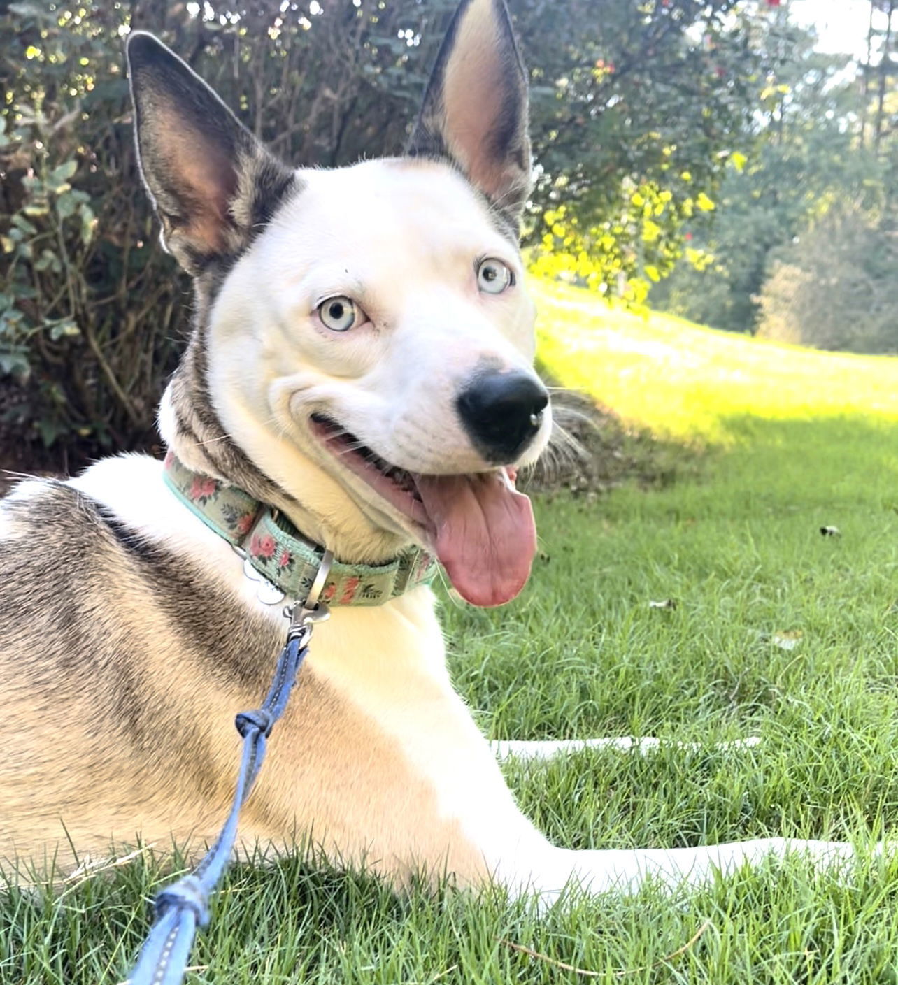 Kacy - Happy Go Lucky Girl!