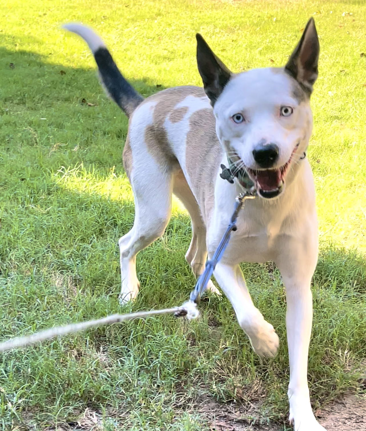 Kissable Kacy - Kindest Heart Ever!