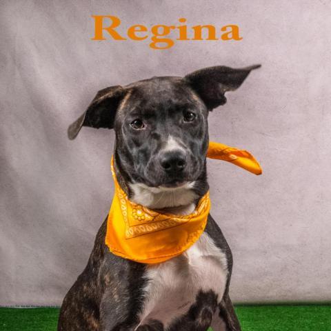 Regina 08-0519