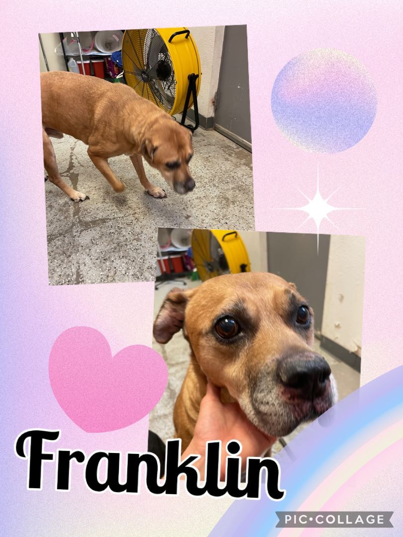 Franklin