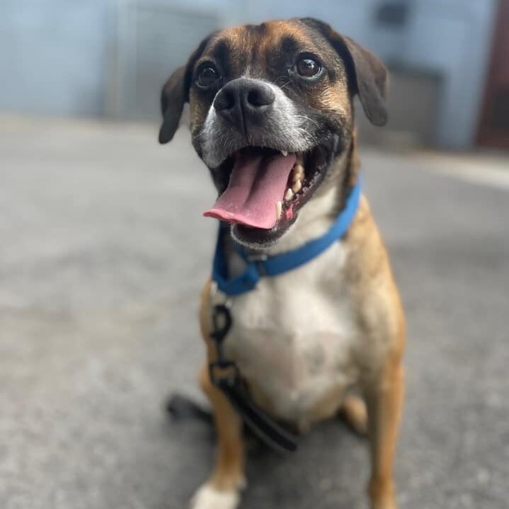 Gus 2