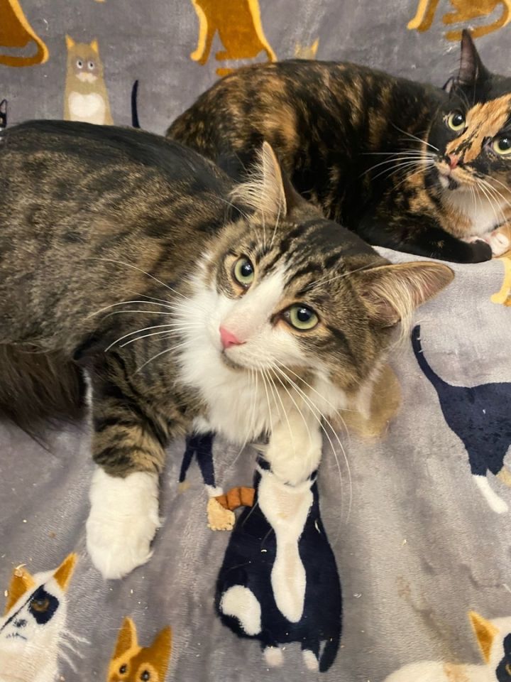 Sassy & Mookie 3