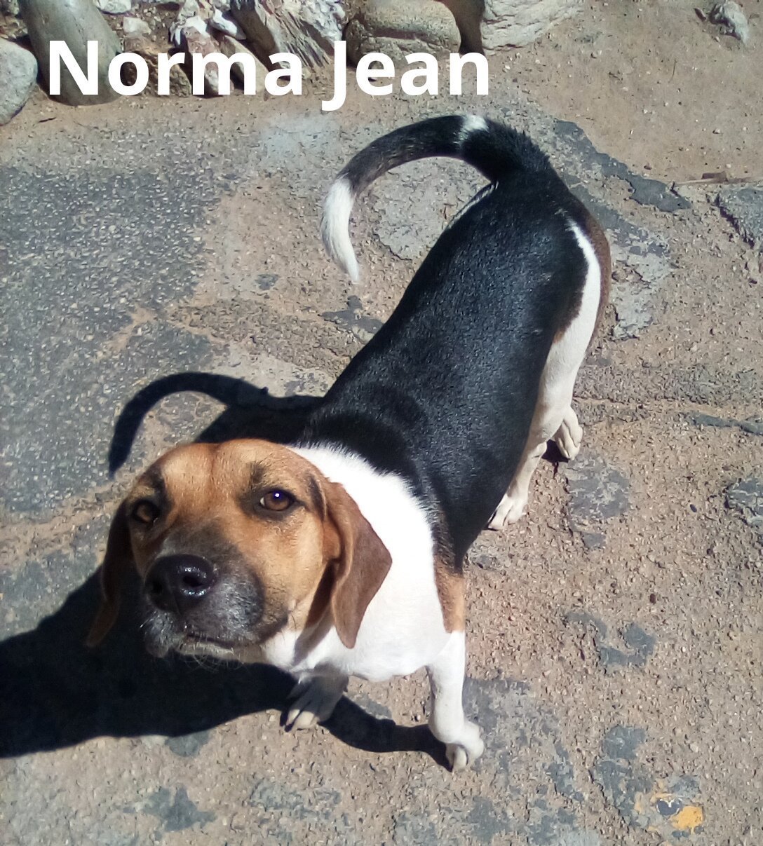 Norma Jean, Vida -2 left