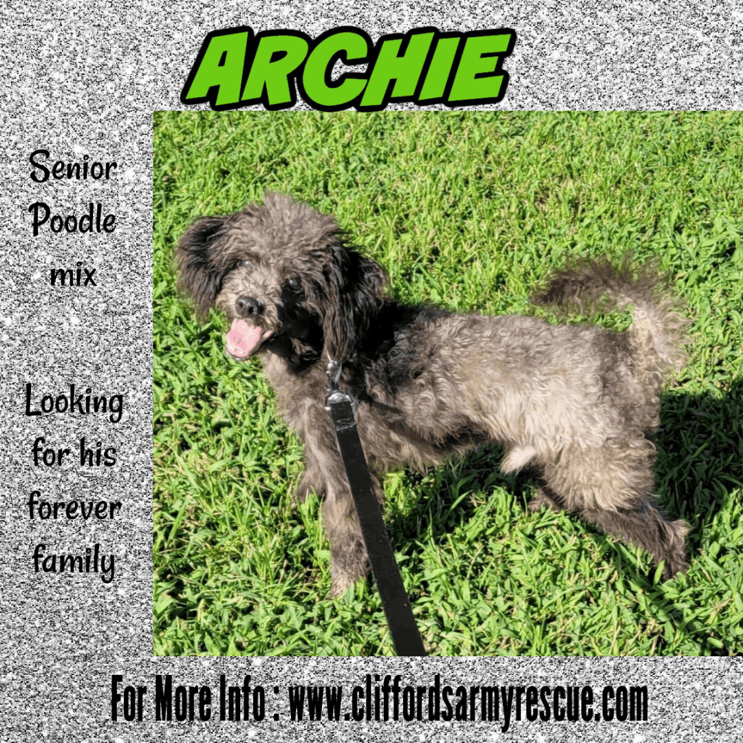 Archie