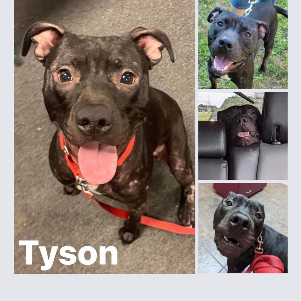 Tyson