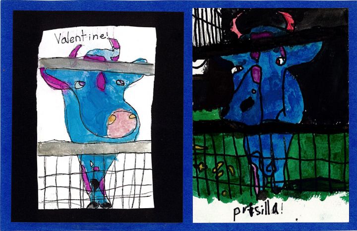 Priscilla & Valentine, an adoptable Cow in Bellingham, WA_image-5