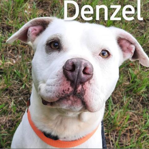 Denzel