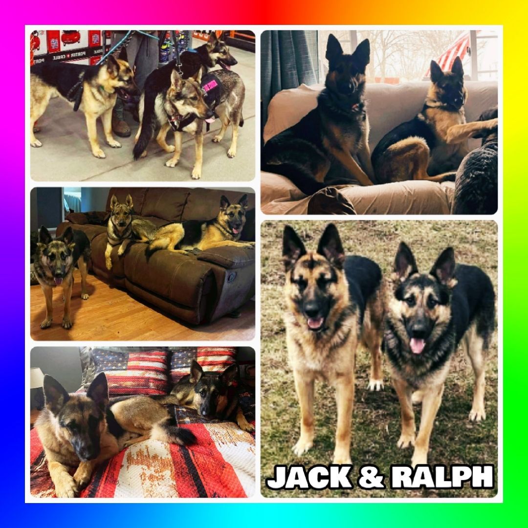 Jack And Ralph Bonded Pair