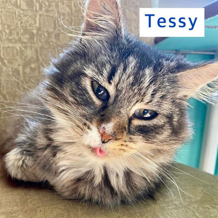 Uno and Tessy 2