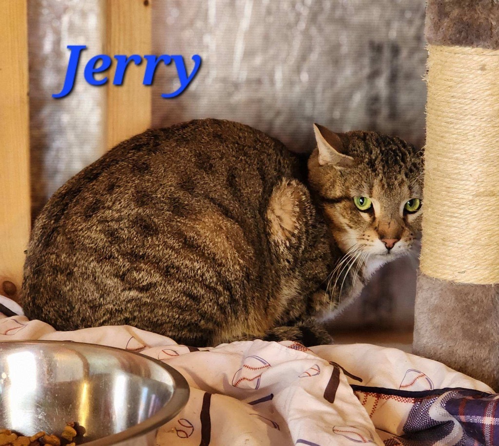 Jerry