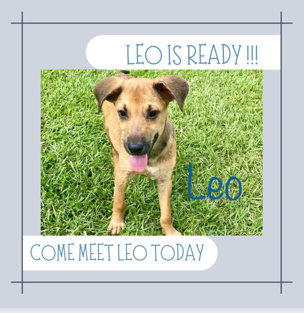 Leo