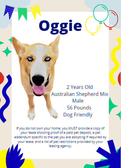 Oggie