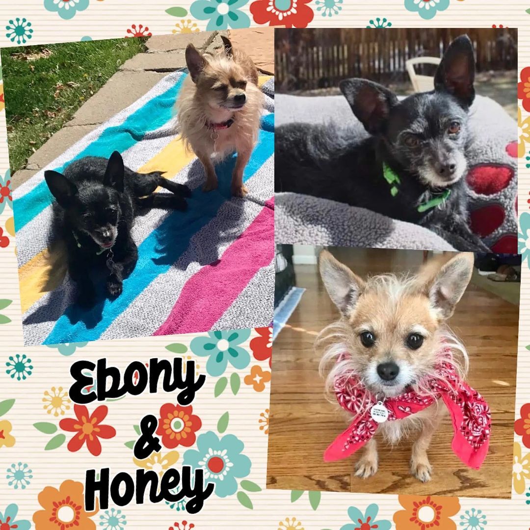 Honey & Ebony