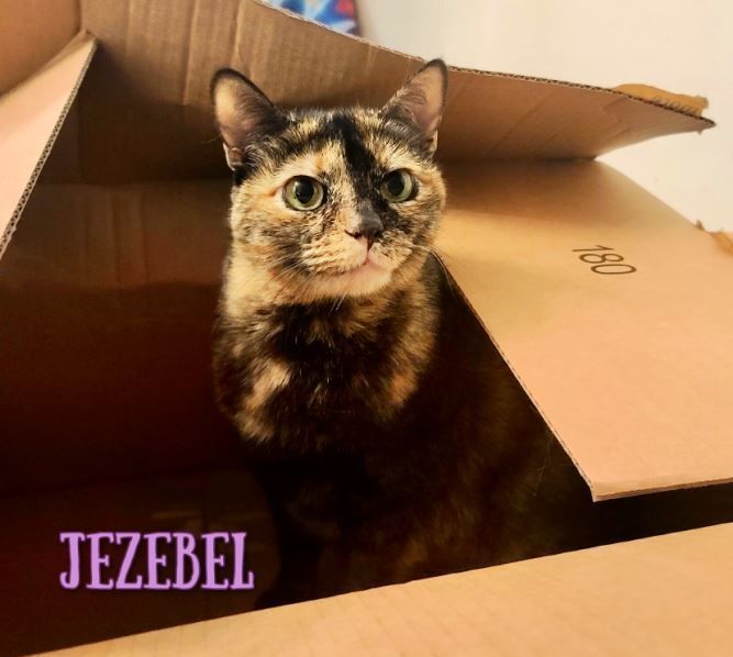 Jezebel detail page