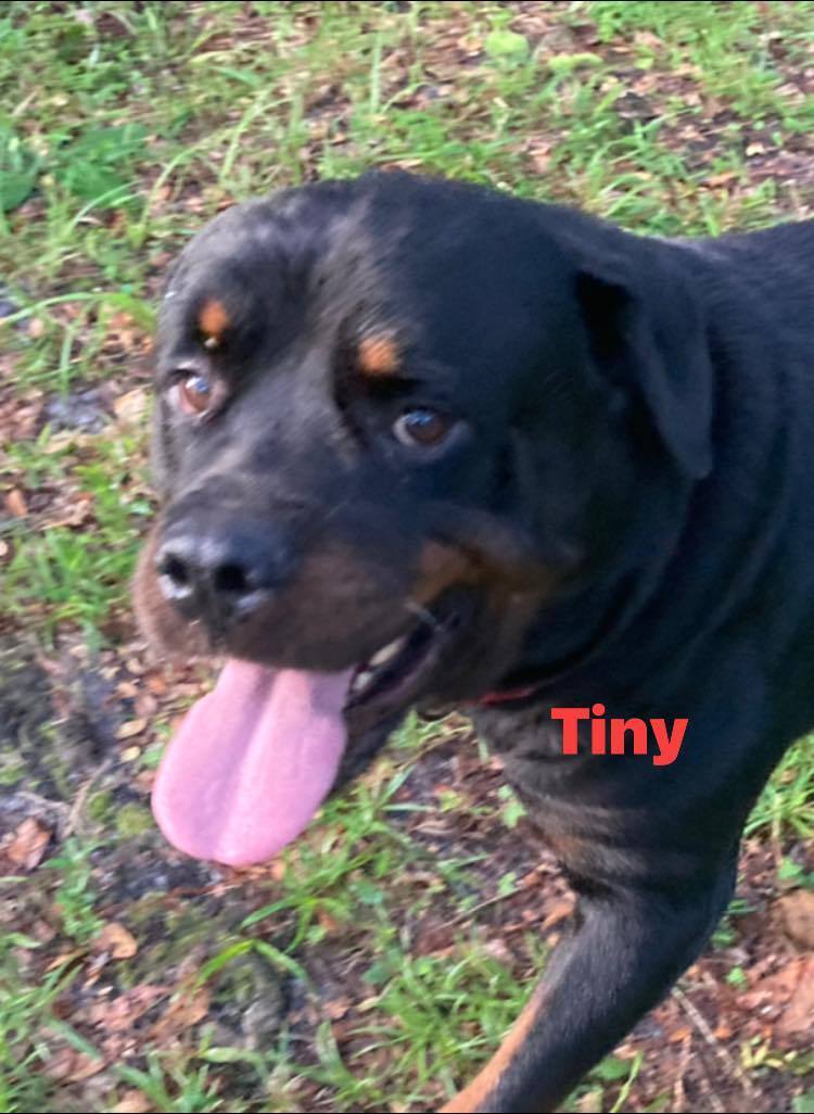 TINY