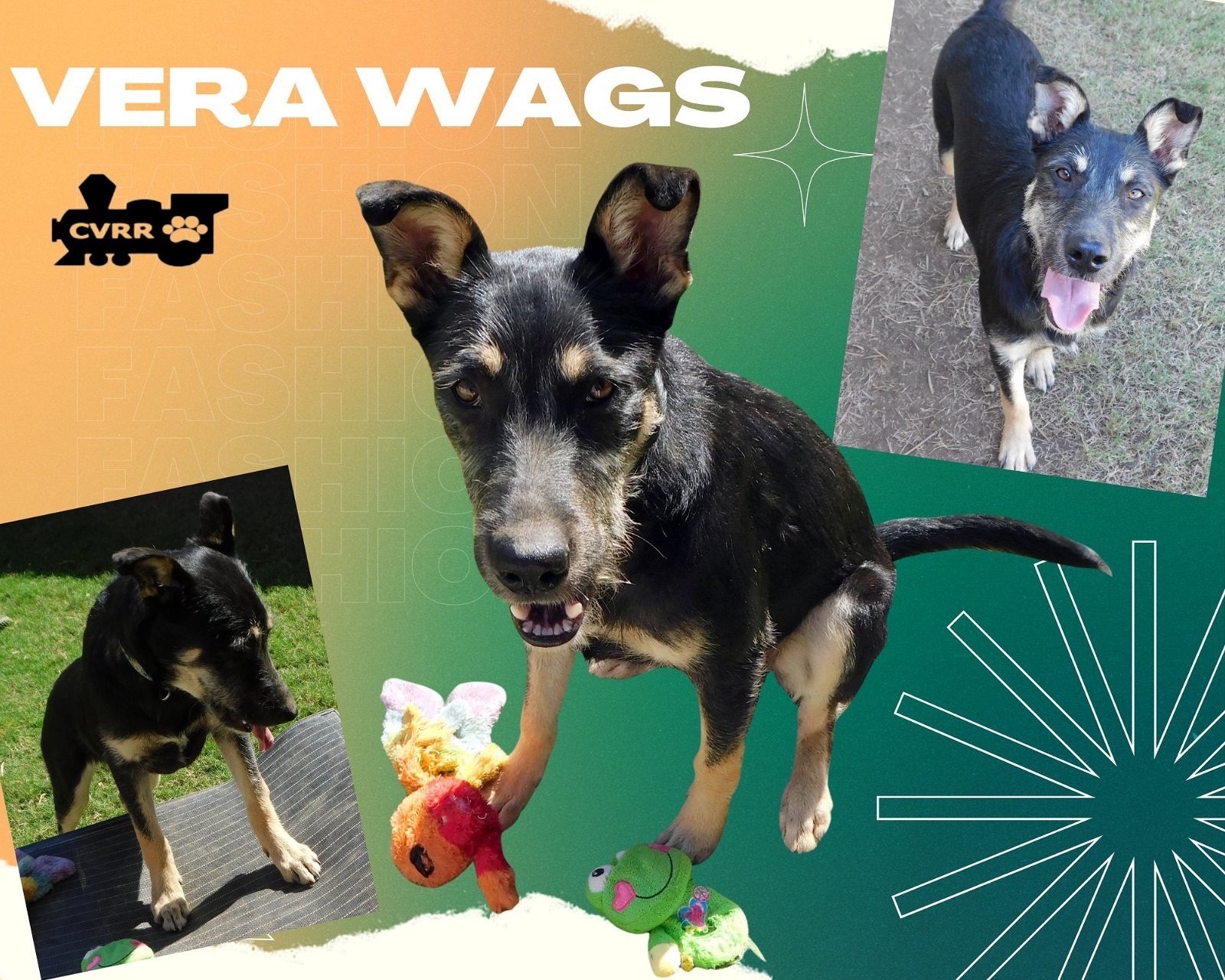 Vera Wags